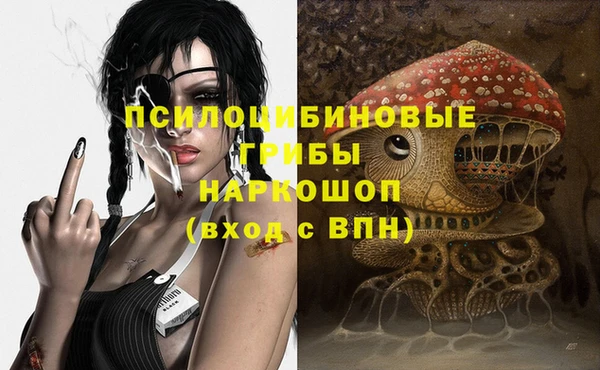 меф Арсеньев