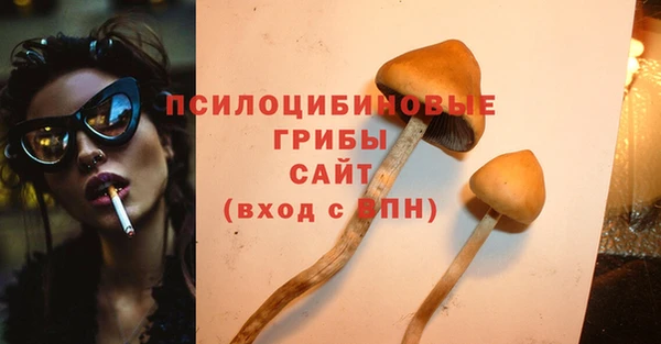 Альфа ПВП Армянск