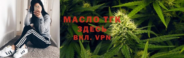сатива Пересвет