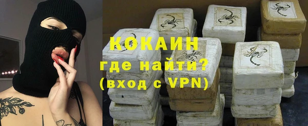 сатива Пересвет